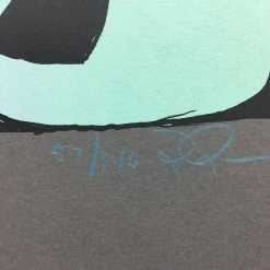 Flatstock 26 - 2010 Jay Ryan Poster Chicago, IL Union Park