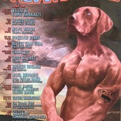 The Artworks Gig Posters MHP 68 June - 1999 Poster Palookaville Santa Cruz, CA 1st