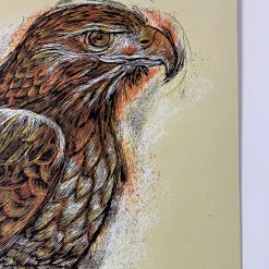 Gig Posters Ray Lamontagne - 2014 Dan Grzeca Poster Tucson, AZ Fox Theatre