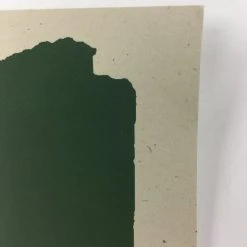 The Disco Biscuits - 2009 Todd Slater Poster Chicago, IL Congress Theater