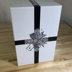 Neo - 2021 Jim Pollock Hand Cast Bronze Statue #'d/100