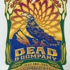 Dead & Company - 2016 Dave Hunter Poster Boulder, CO 7/3 Summer Tour Colorado