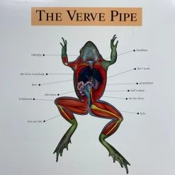 Sold Out Posters The Verve Pipe - 1999 Original Vinyl Poster Insert 12x12 Record Art