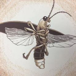 Common Firefly (Photinus Pyralis) - 2015 Justin Santora Poster Art Print