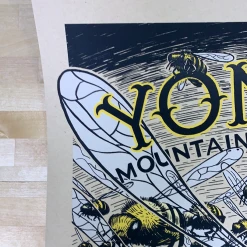 Gig Posters Yonder Mountain String Band - 2012 Johnny Sampson Poster New York Brooklyn