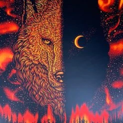 Alabama Shakes - 2017 Todd Slater Poster Portland, ME Thompson's