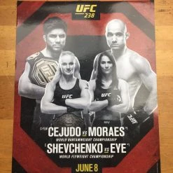 Sold Out Posters Boxing - 2019 Poster Cejudo Vs Moraes; Shevchenko Vs Eye