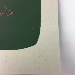 The Disco Biscuits - 2009 Todd Slater Poster Chicago, IL Congress Theater