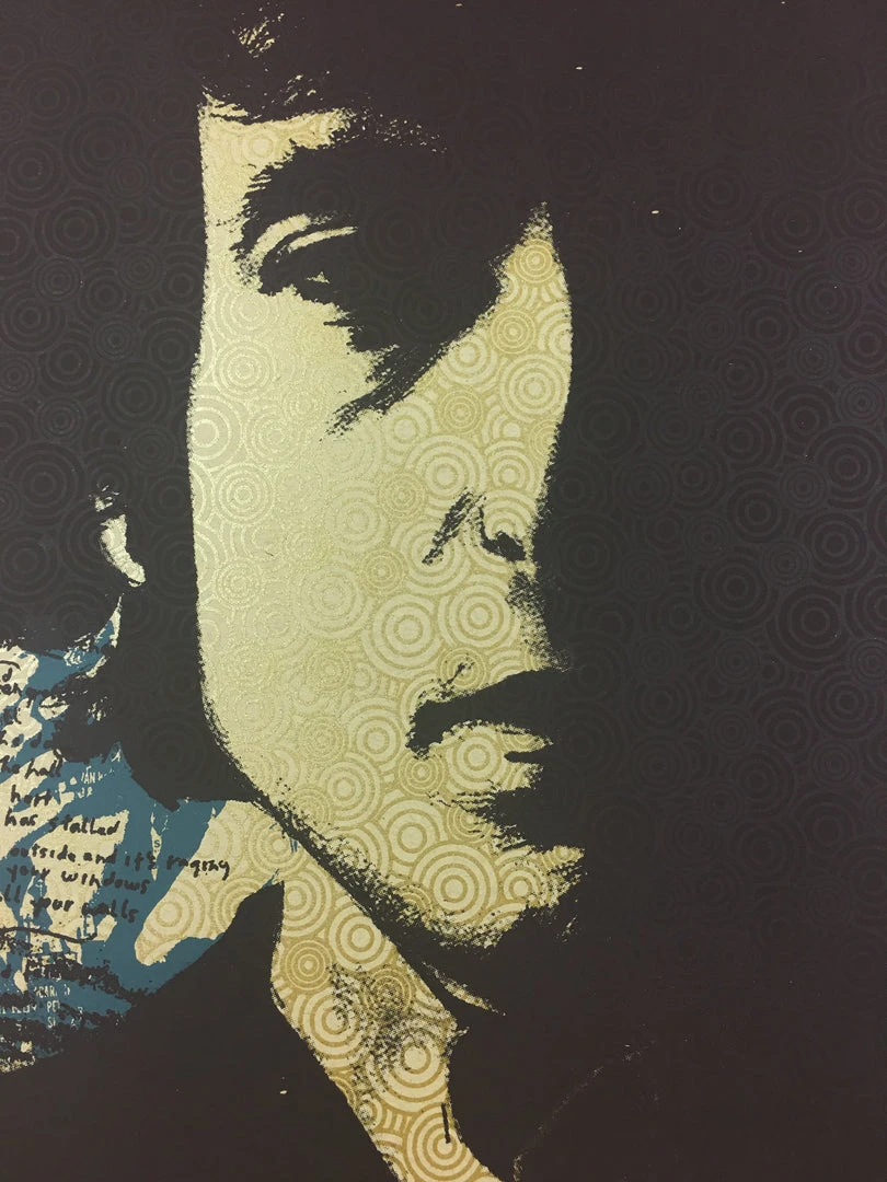 Gig Posters Bob Dylan - 2013 Xray Poster Art Print 4 Gig Posters Bob Dylan - 2013 Xray Poster Art Print