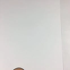 Hollow Friends - 2008 Mike Budai Poster Art Print