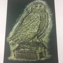 Reconstructed Snowy Owl - Dan Grzeca Poster Art Print Art Prints