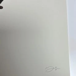 Virginia Opossum - 2018 Mike Mitchell Poster Art Print Variant