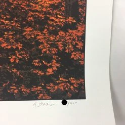 Art Prints Elder Days - 2010 Dan McCarthy Poster Art Print