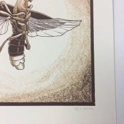 Common Firefly (Photinus Pyralis) - 2015 Justin Santora Poster Art Print