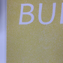 Bully - 2016 Fugscreens Studios Poster Chicago, IL Empty Bottle