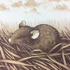 Brown Rat (Rattus Norvegicus) - 2015 Justin Santora Poster Art Print