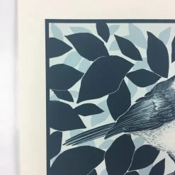 Black Capped Chickadee (Poecile Atricapillus) - 2015 Justin Santora Poster Art P