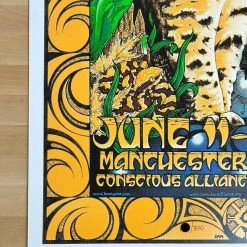 Bonnaroo - 2009 Michael Everett Poster Manchester, TN