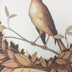 Gig Posters Jackie Greene - 2013 Justin Santora Poster Crystal Bay, NV Crystal Bay Club Casi