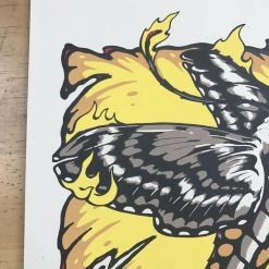 Umphrey's McGee - 2013 Billy Perkins Austin, TX Stubb's BBQ 11 Umphrey's McGee - 2013 Billy Perkins Austin, TX Stubb's BBQ