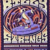 Half Hazzard Press Billy Strings - 2020 Half Hazard Poster Streaming Strings Surprise