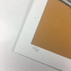 Untitled (Parachutes) - 2008 Mike Budai Poster Art Print