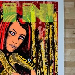 Colorado Nine Inch Nails - 2006 Lindsey Kuhn Poster Red Rocks Morrison, CO