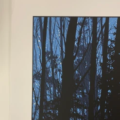 A Night In The Forest - 2010 Dan McCarthy Poster Art Print