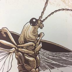 Common Firefly (Photinus Pyralis) - 2015 Justin Santora Poster Art Print