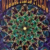 BGP 241 Widespread Panic - 2000 Chris Shaw The Warfield Theatre San Fran 1st Gig Posters