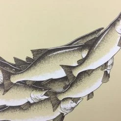 Art Prints Salmon Run - 2015 Justin Santora Poster Art Print