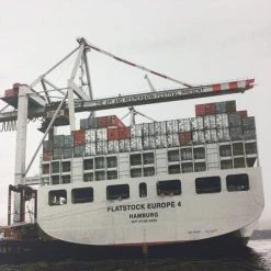 Flatstock Europe 4 - 2009 Dan MacAdam Crosshair Poster Hamburg, GER